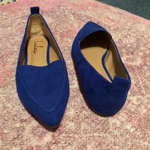 ⭐️New⭐️ Emmy Camel Suede Pointed Loafers in Blue